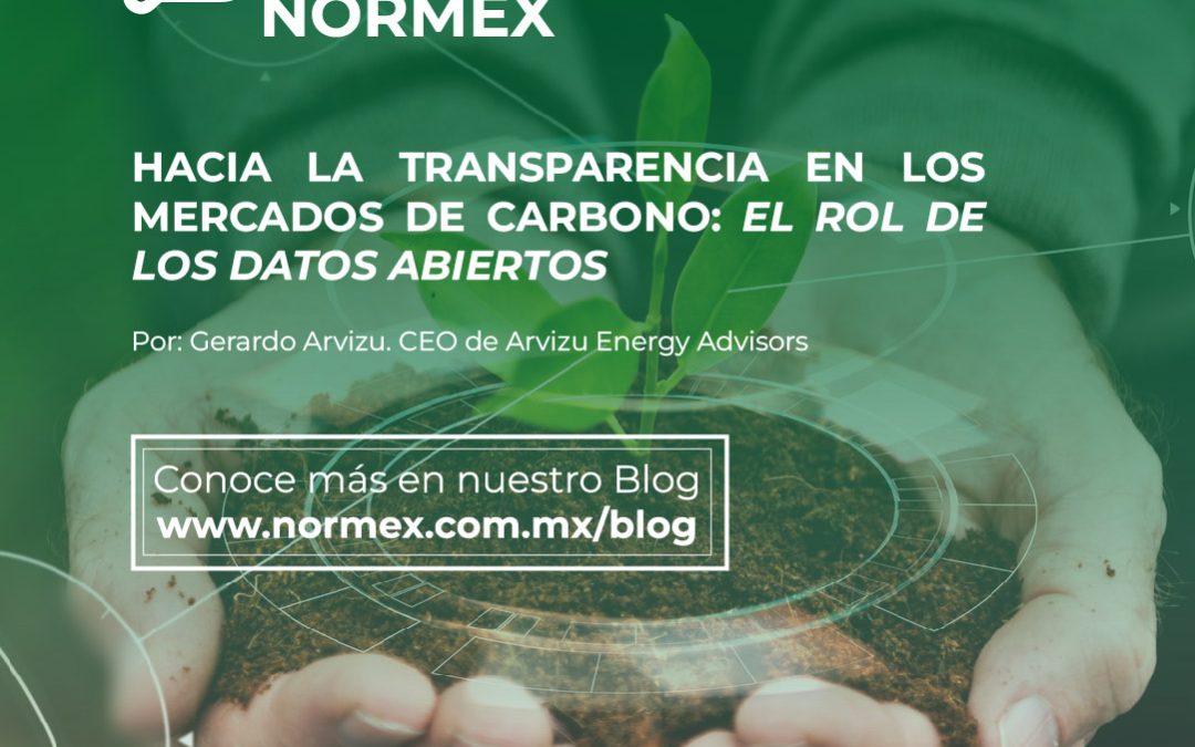 Hacia la transparencia en los mercados de carbono: el rol de los Datos Abiertos